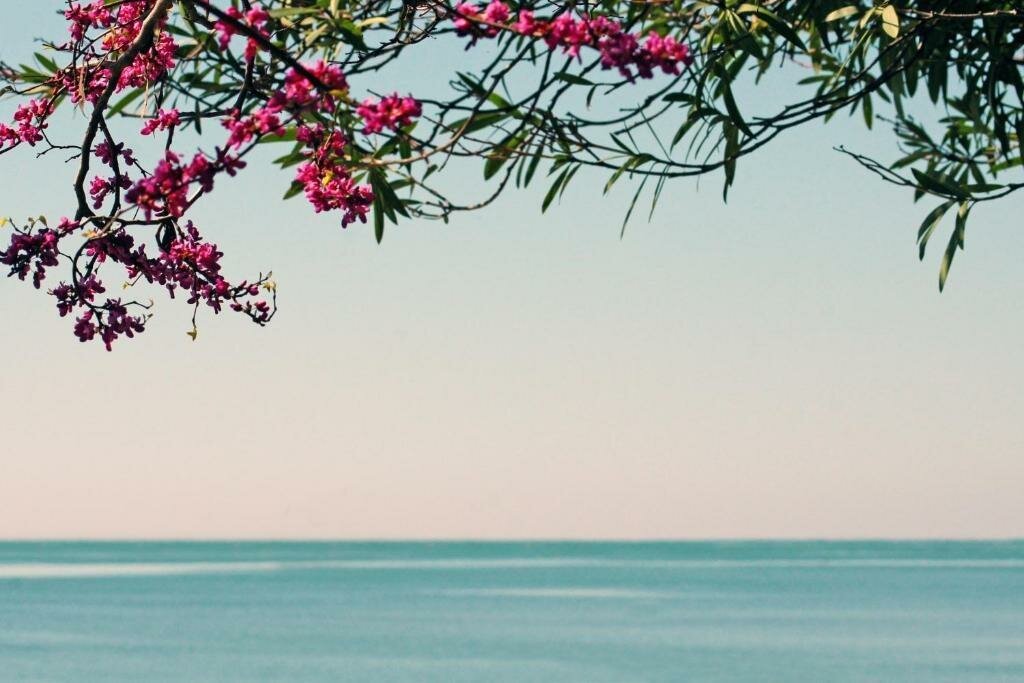 Гостиница Марс Адлер-28