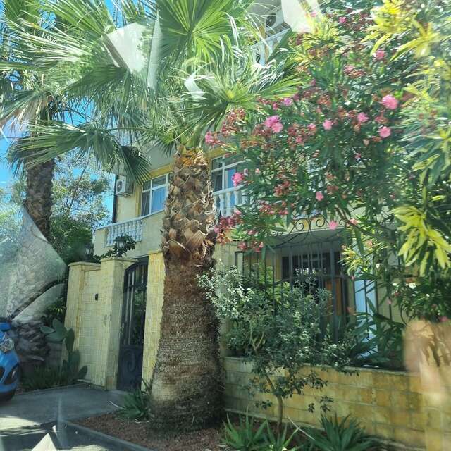 Гостиница Марс Адлер-39